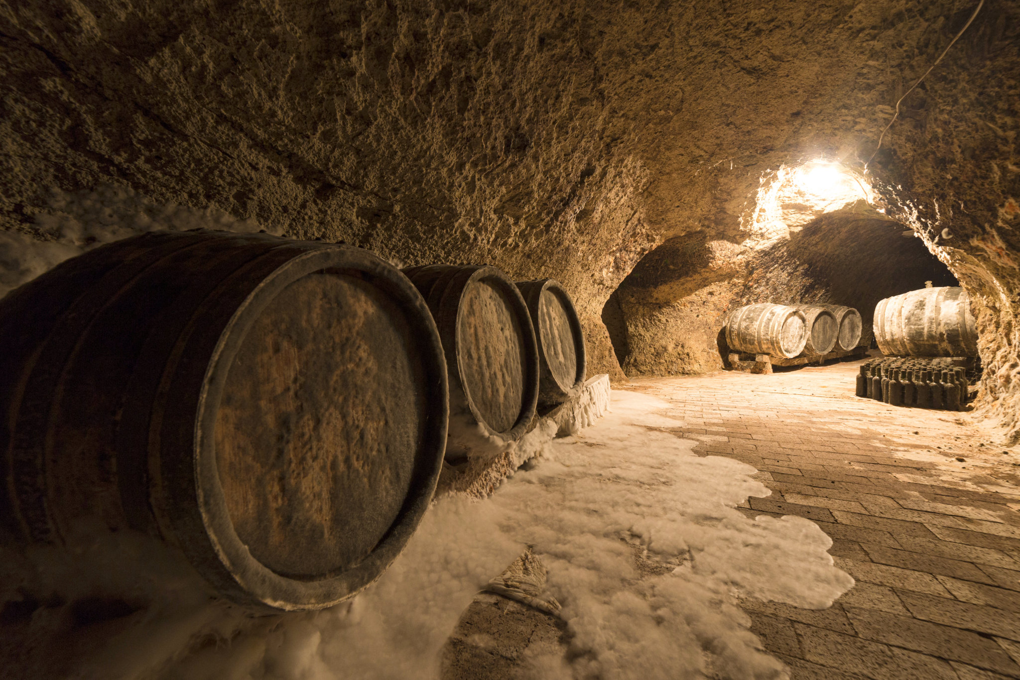 The Lager Caves of St. Louis Saint Louis Bank Blog